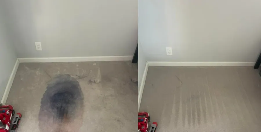 Rug and carpet stain removal before and after across the Bay Area