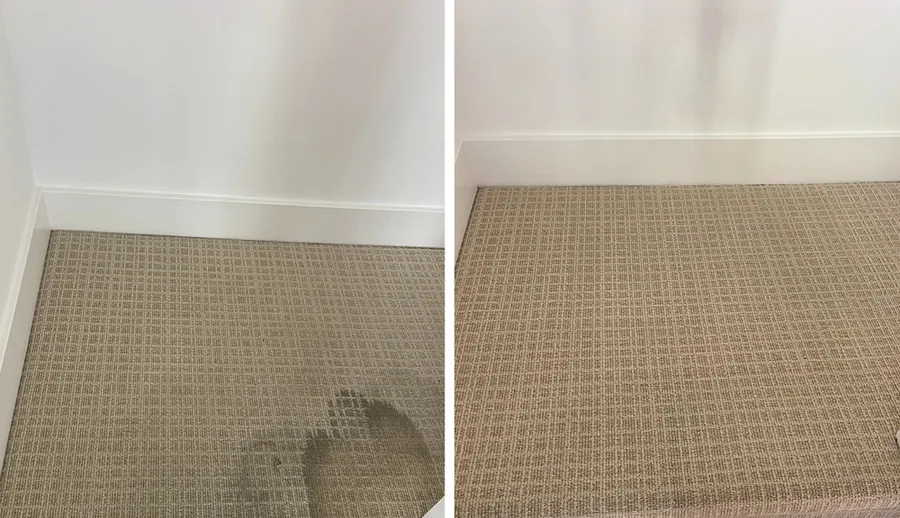 Stair landing carpet stain removal before and after in Los Gatos